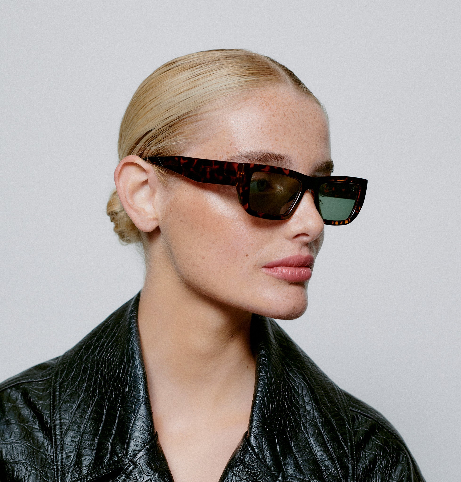 Fame - Demi Tortoise