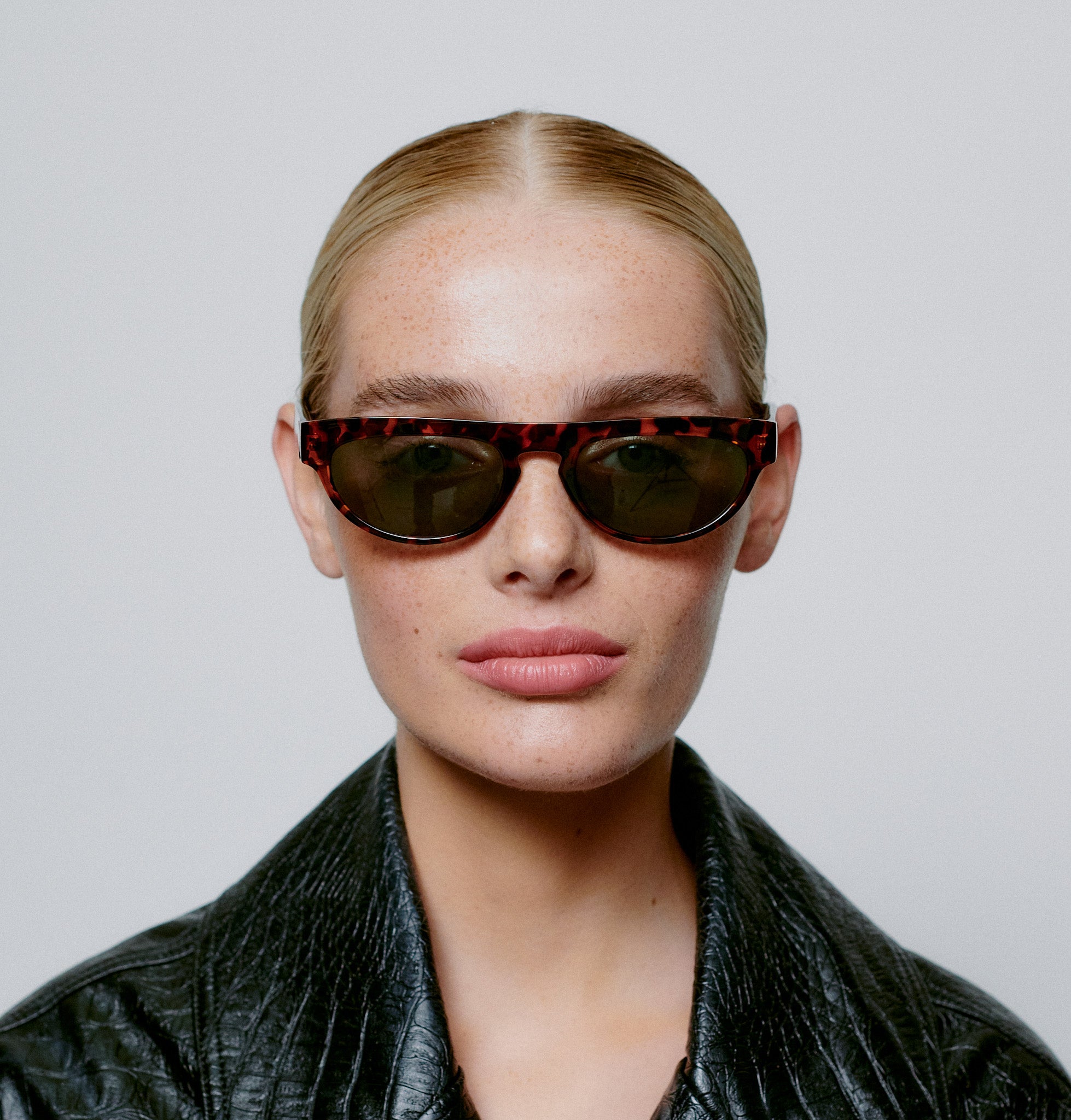 Jake - Demi Tortoise