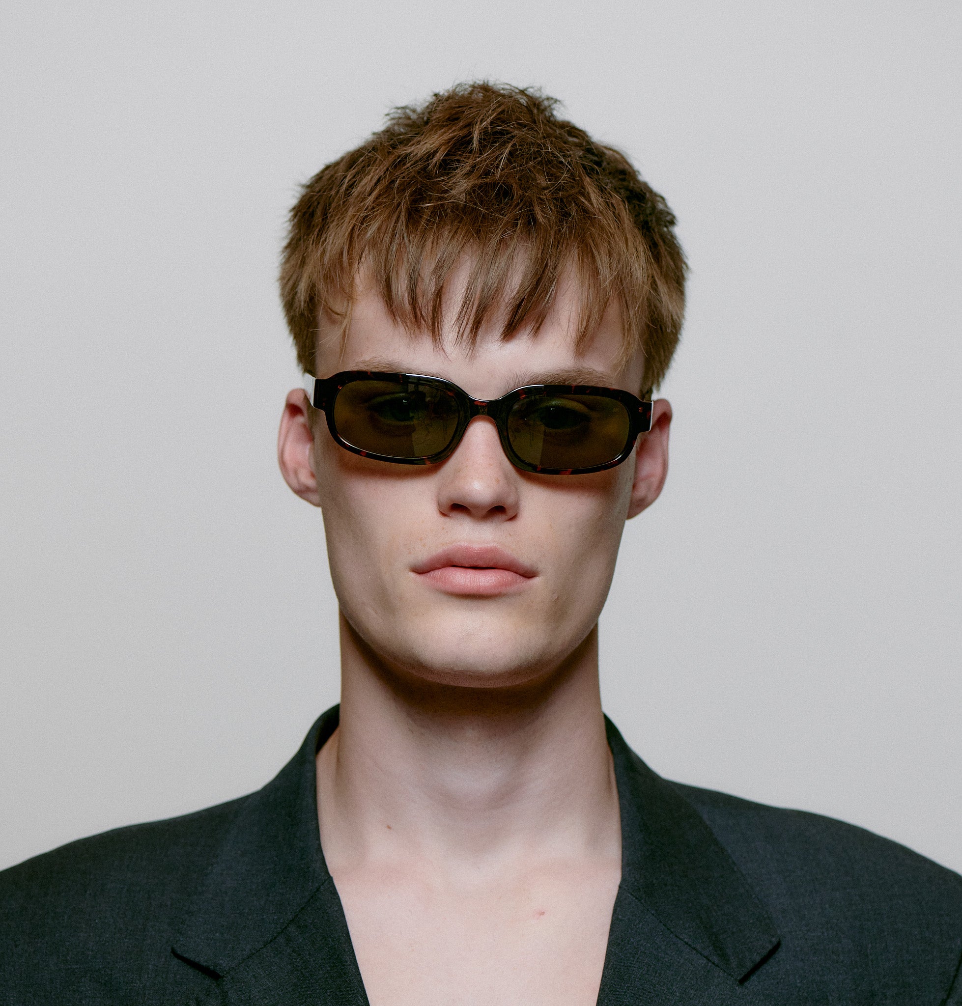 Will - Demi Tortoise